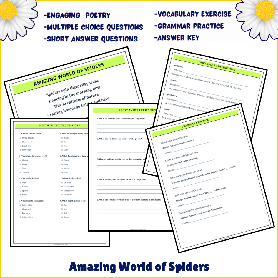 Amazing World of Spiders | Poem Grammar Worksheet Printable Activity