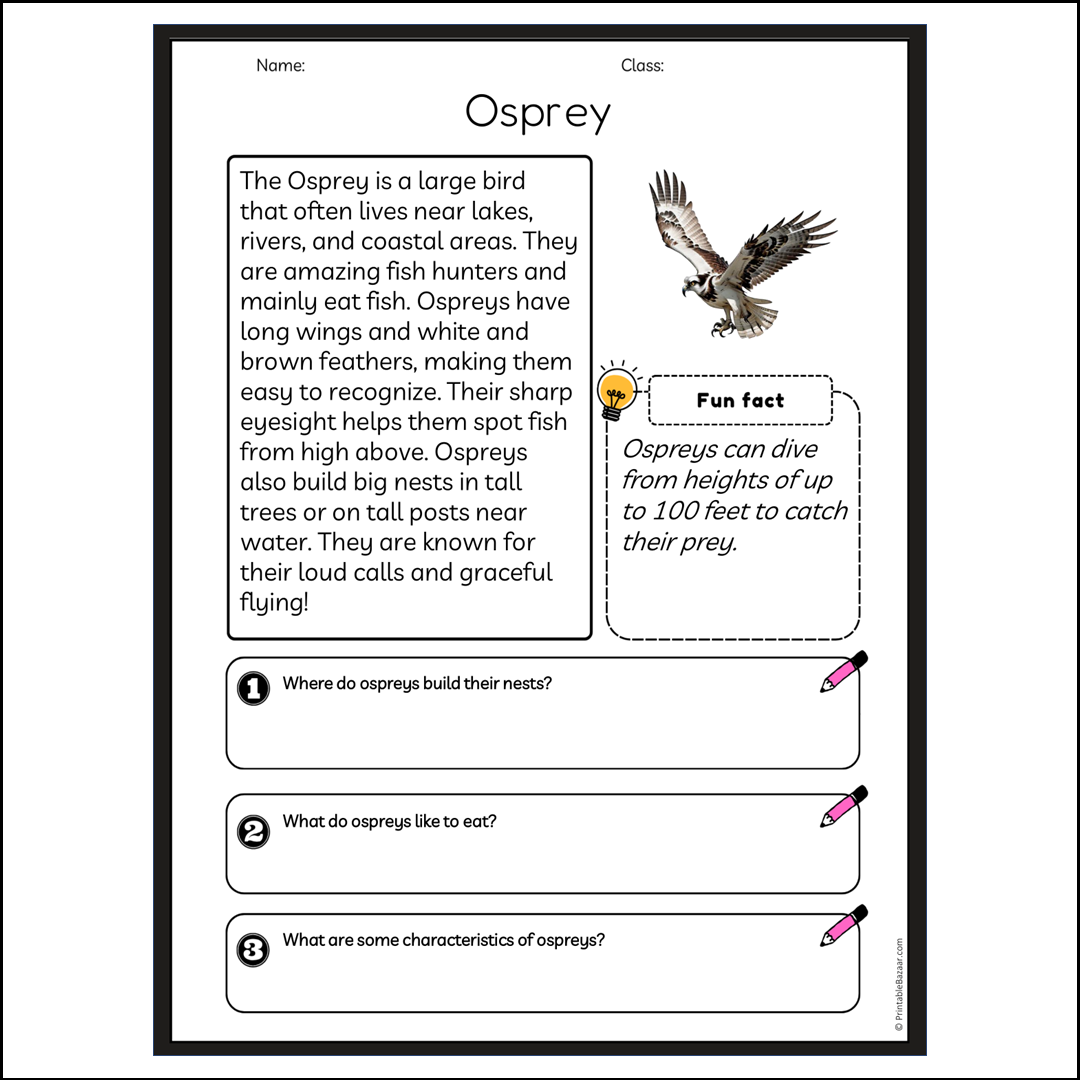 Osprey | Reading Passage Comprehension Questions Writing Facts Worksheet