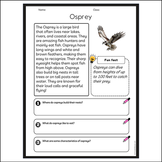 Osprey | Reading Passage Comprehension Questions Writing Facts Worksheet