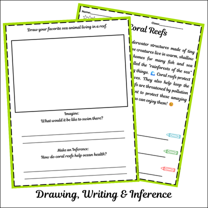 Coral Reefs | Short Reading Comprehension Creative Worksheet