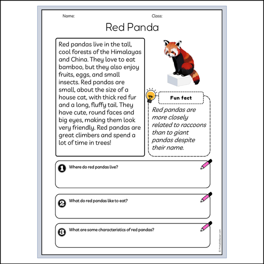 Red Panda | Reading Passage Comprehension Questions Writing Facts Worksheet