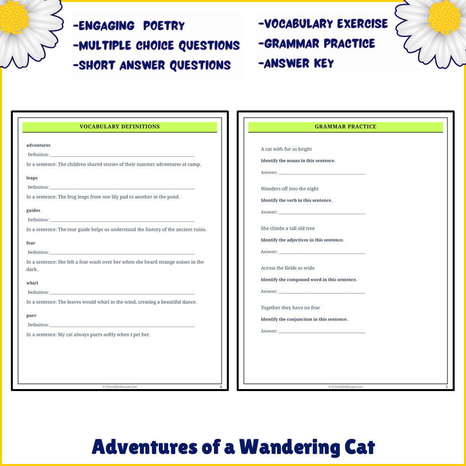 Adventures of a Wandering Cat | Poem Grammar Worksheet Printable Activity