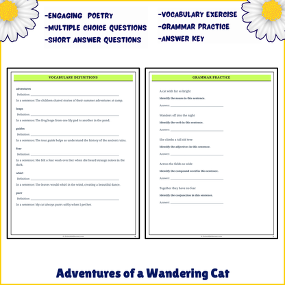 Adventures of a Wandering Cat | Poem Grammar Worksheet Printable Activity