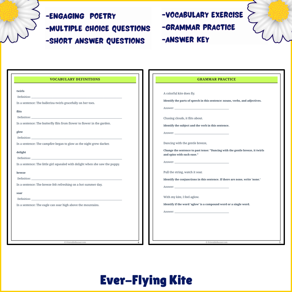 Ever-Flying Kite | Poem Grammar Worksheet Printable Activity