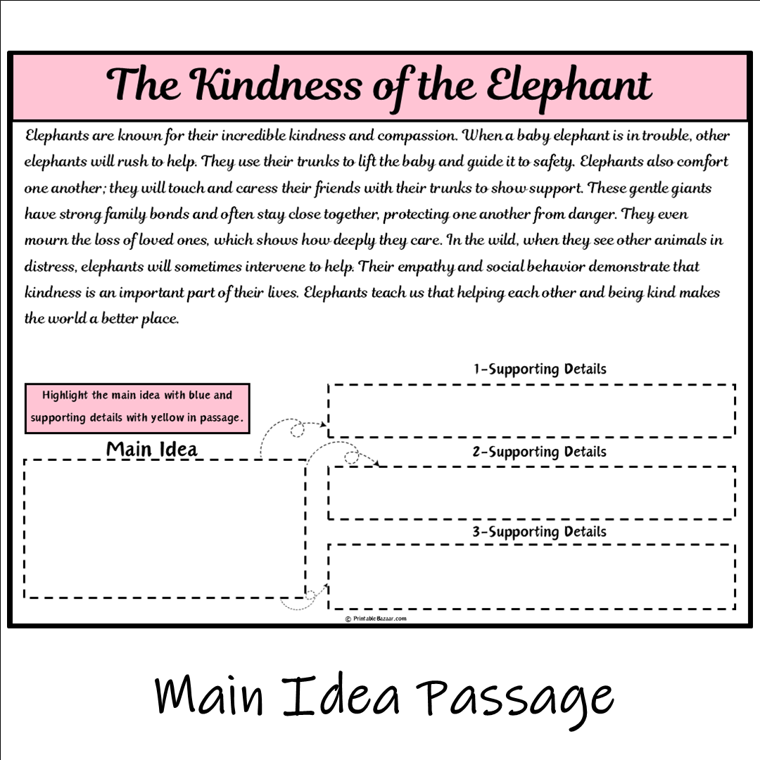 The Kindness of the Elephant | Main Idea and Supporting Details Reading Passage and Questions