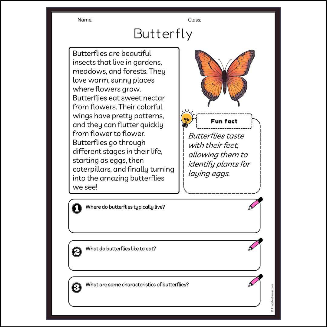 Butterfly | Reading Passage Comprehension Questions Writing Facts Worksheet