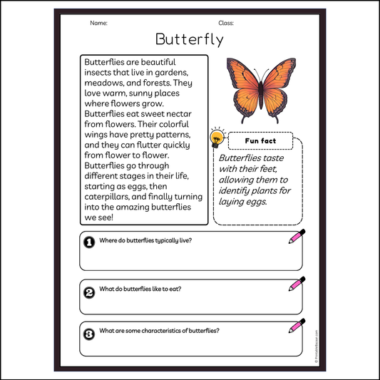 Butterfly | Reading Passage Comprehension Questions Writing Facts Worksheet