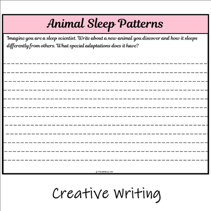 Animal Sleep Patterns | Main Idea and Supporting Details Reading Passage and Questions