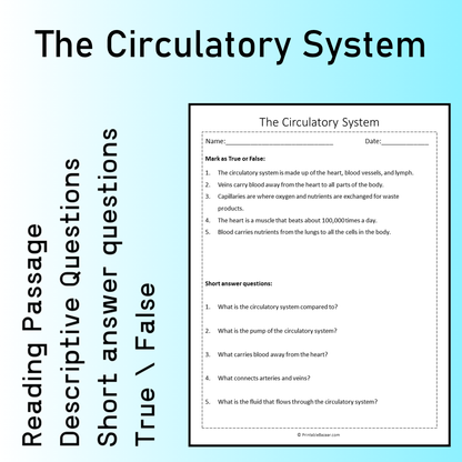 The Circulatory System | Reading Comprehension Passage Printable Worksheet