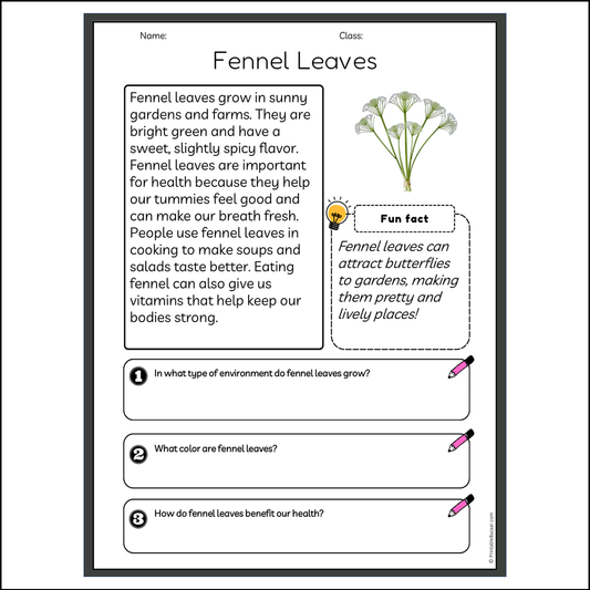 Fennel Leaves | Reading Passage Comprehension Questions Writing Facts Worksheet