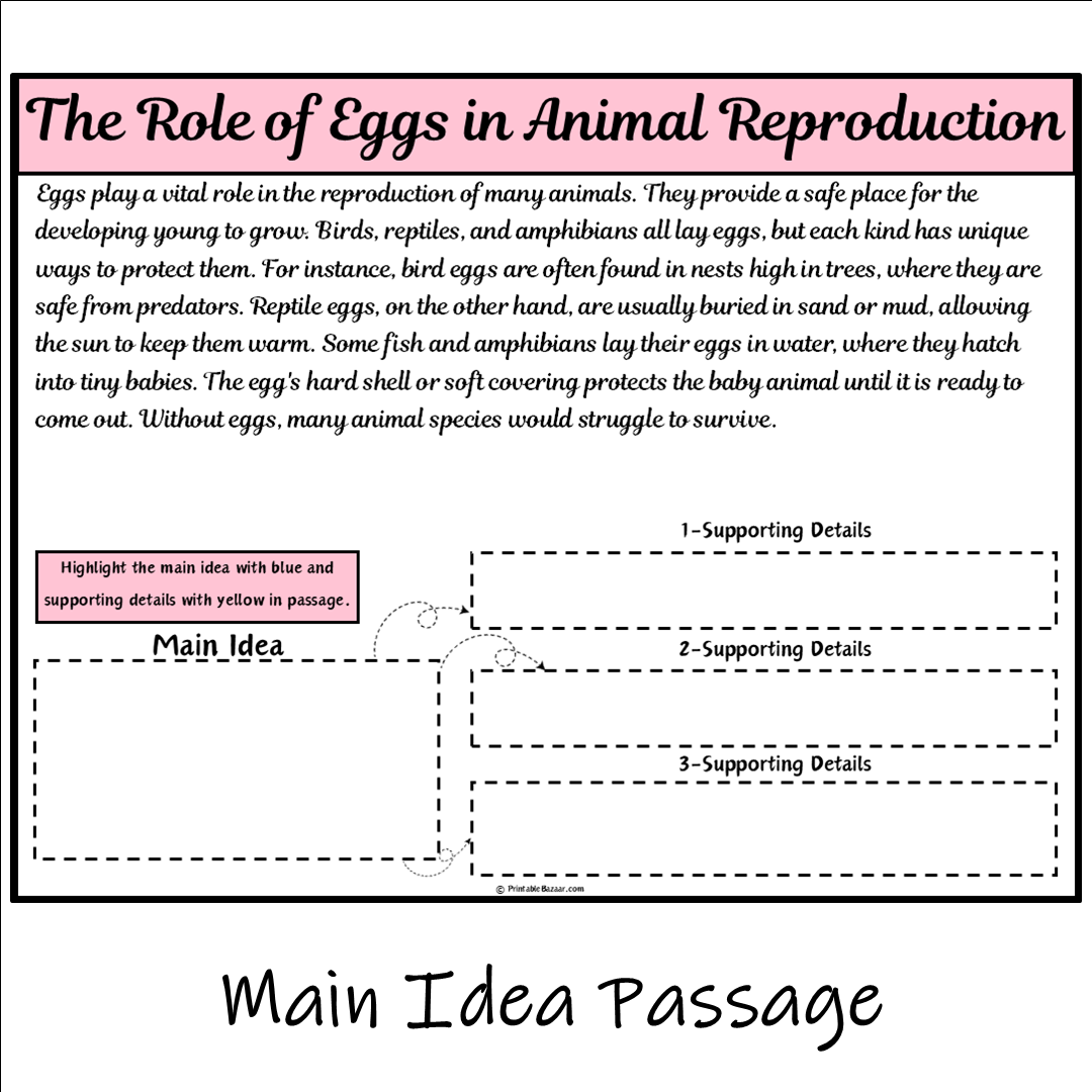 The Role of Eggs in Animal Reproduction | Main Idea and Supporting Details Reading Passage and Questions