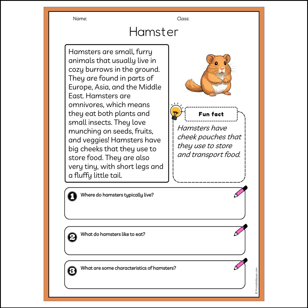 Hamster | Reading Passage Comprehension Questions Writing Facts Worksheet