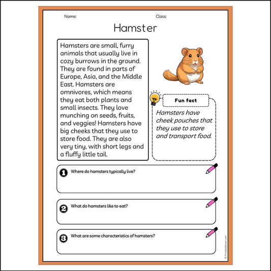 Hamster | Reading Passage Comprehension Questions Writing Facts Worksheet