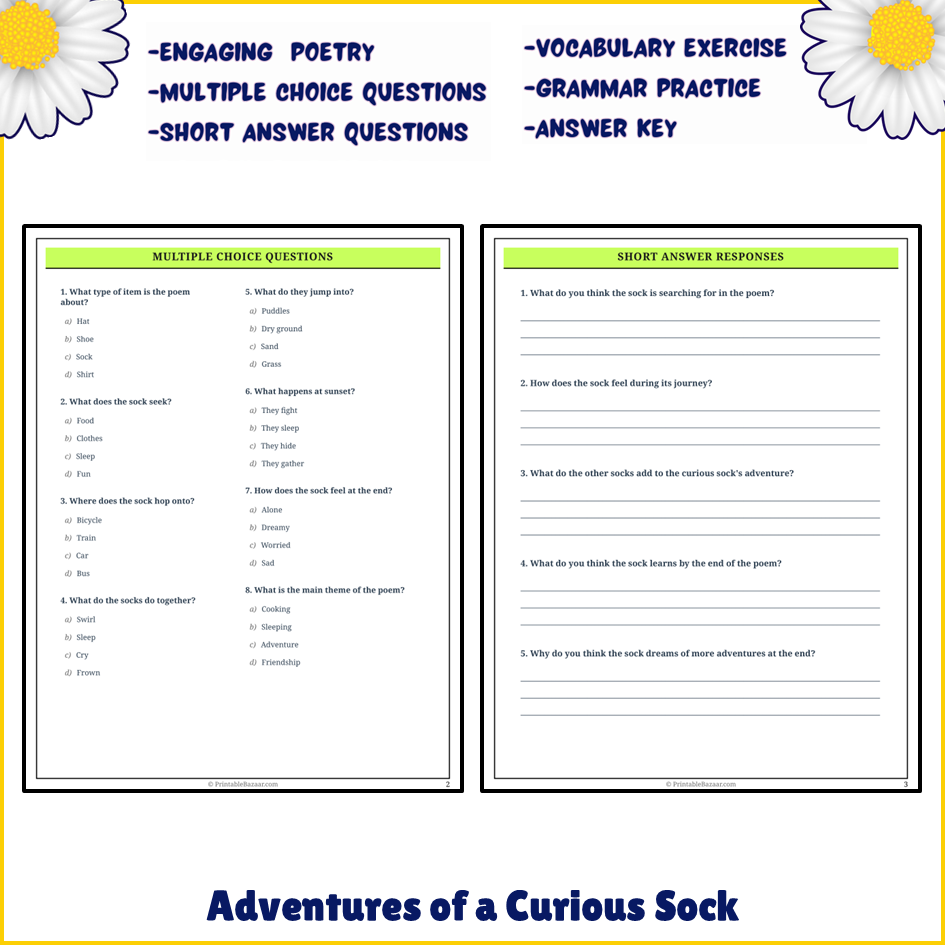 Adventures of a Curious Sock | Poem Grammar Worksheet Printable Activity