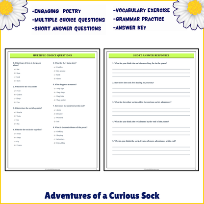 Adventures of a Curious Sock | Poem Grammar Worksheet Printable Activity