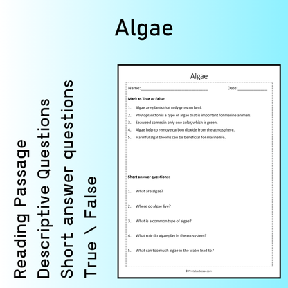 Algae | Reading Comprehension Passage Printable Worksheet