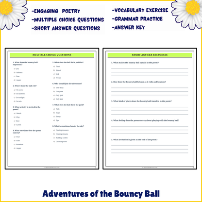 Adventures of the Bouncy Ball | Poem Grammar Worksheet Printable Activity