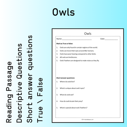 Owls | Reading Comprehension Passage Printable Worksheet