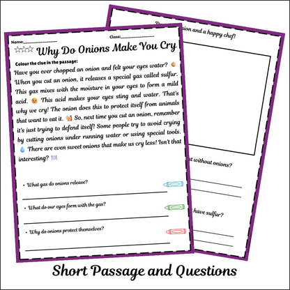 Why Do Onions Make You Cry | Short Reading Comprehension Creative Worksheet