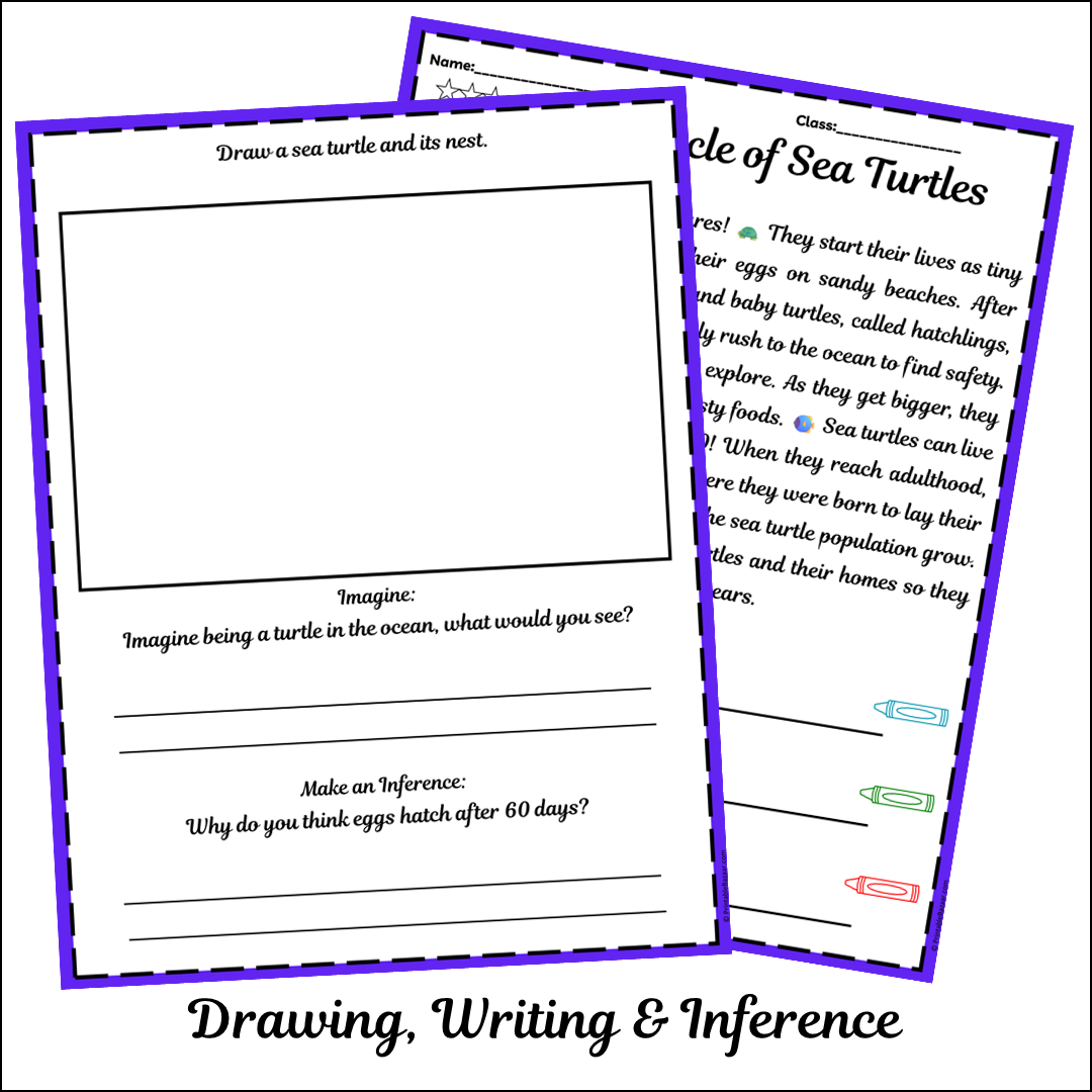 Life Cycle of Sea Turtles | Short Reading Comprehension Creative Worksheet