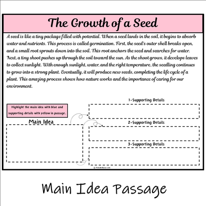 The Growth of a Seed | Main Idea and Supporting Details Reading Passage and Questions