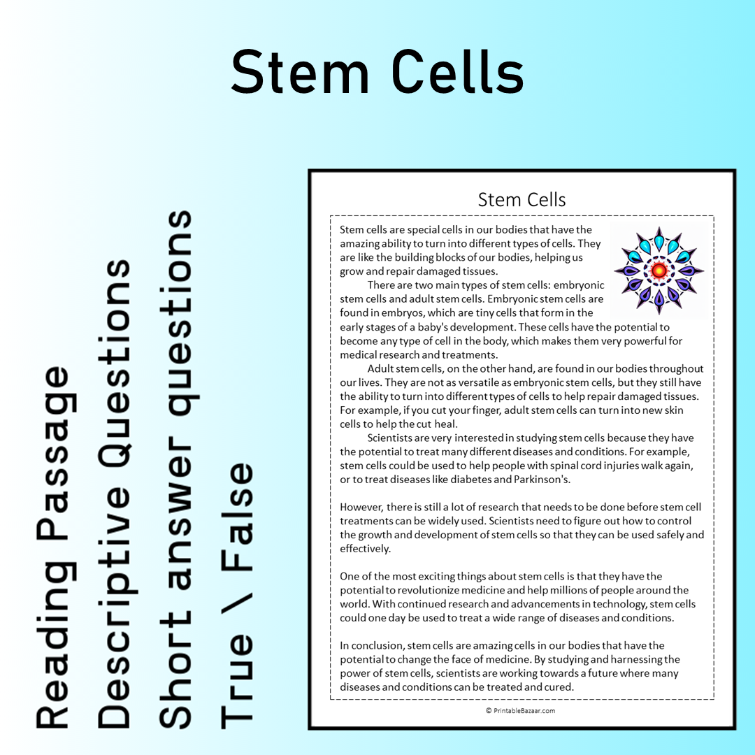 Stem Cells | Reading Comprehension Passage Printable Worksheet