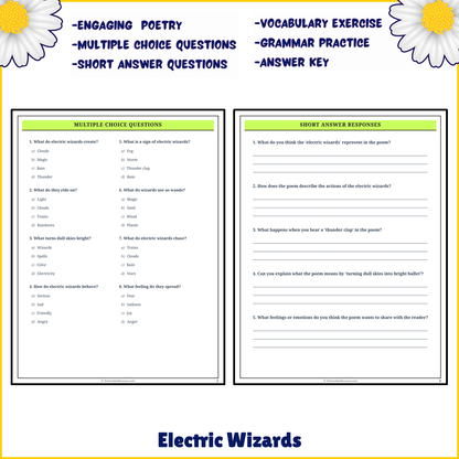 Electric Wizards | Poem Grammar Worksheet Printable Activity