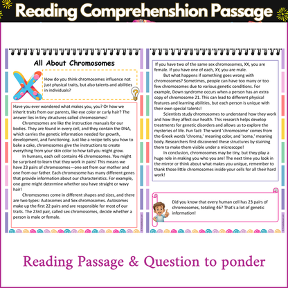 All About Chromosomes | Reading Comprehension Passage and Questions
