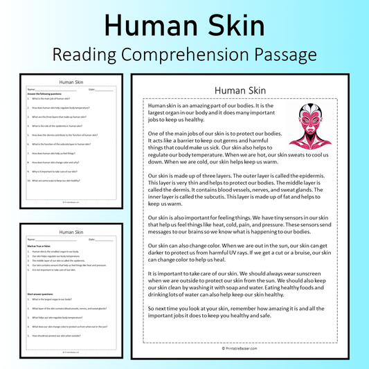 Human Skin | Reading Comprehension Passage Printable Worksheet