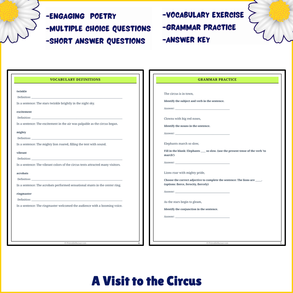 A Visit to the Circus | Poem Grammar Worksheet Printable Activity