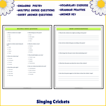 Singing Crickets | Poem Grammar Worksheet Printable Activity