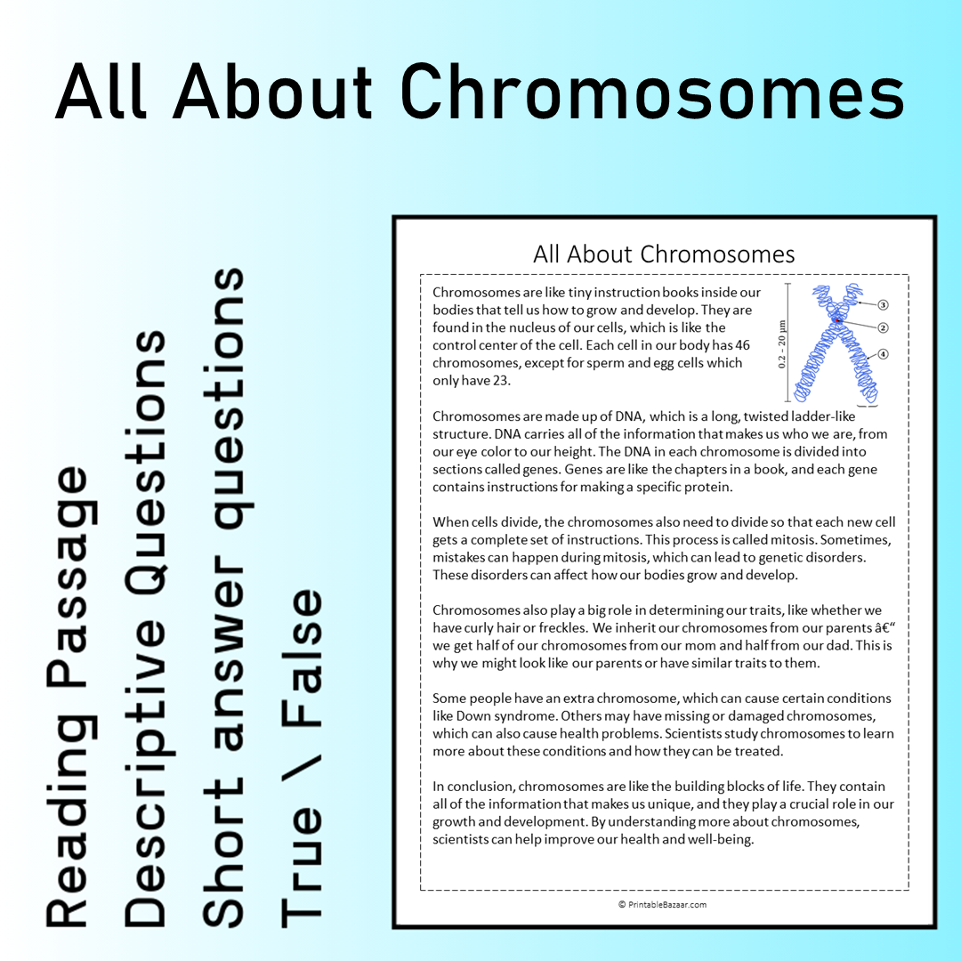 All About Chromosomes | Reading Comprehension Passage Printable Worksheet