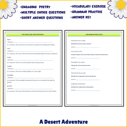 A Desert Adventure | Poem Grammar Worksheet Printable Activity