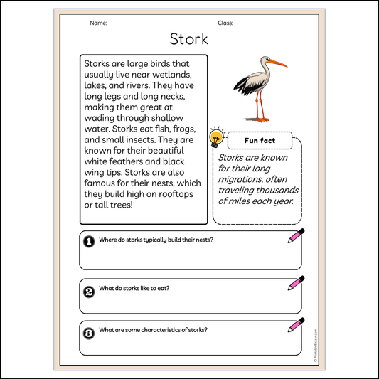 Stork | Reading Passage Comprehension Questions Writing Facts Worksheet