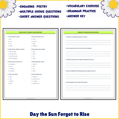 Day the Sun Forgot to Rise | Poem Grammar Worksheet Printable Activity