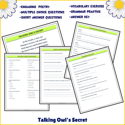 Talking Owl's Secret | Poem Grammar Worksheet Printable Activity