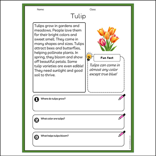 Tulip | Reading Passage Comprehension Questions Writing Facts Worksheet