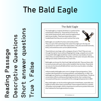 The Bald Eagle | Reading Comprehension Passage Printable Worksheet