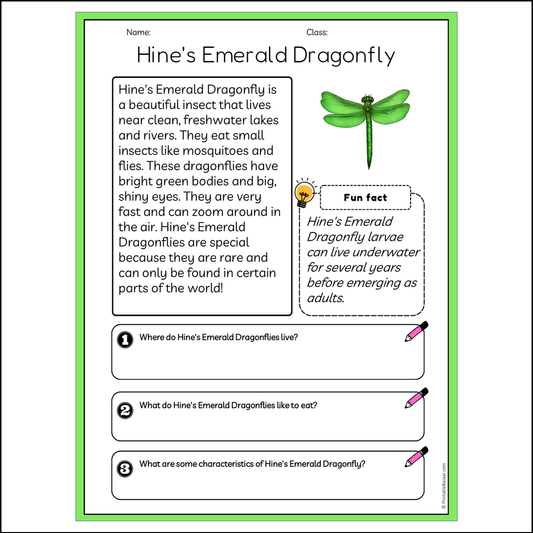 Hine's Emerald Dragonfly | Reading Passage Comprehension Questions Writing Facts Worksheet