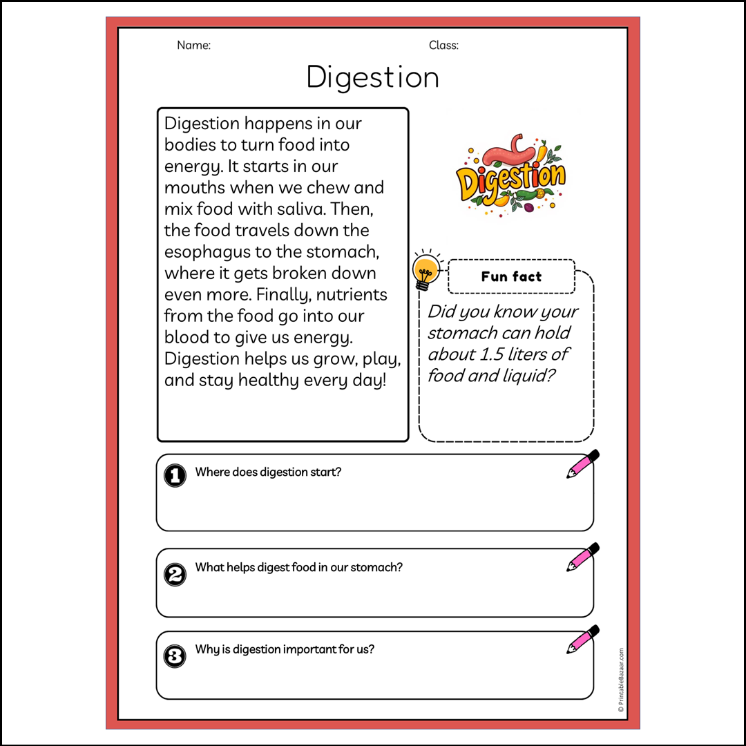 Digestion | Reading Passage Comprehension Questions Writing Facts Worksheet