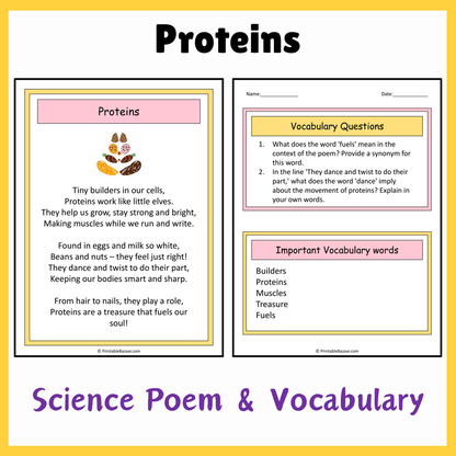 Proteins | Science Poem Reading Comprehension Activity