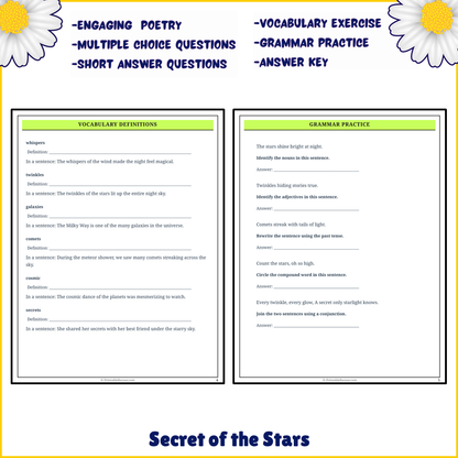 Secret of the Stars | Poem Grammar Worksheet Printable Activity