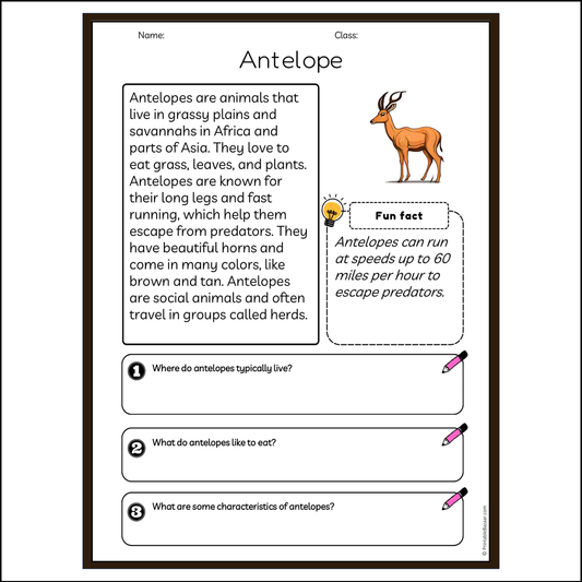 Antelope | Reading Passage Comprehension Questions Writing Facts Worksheet