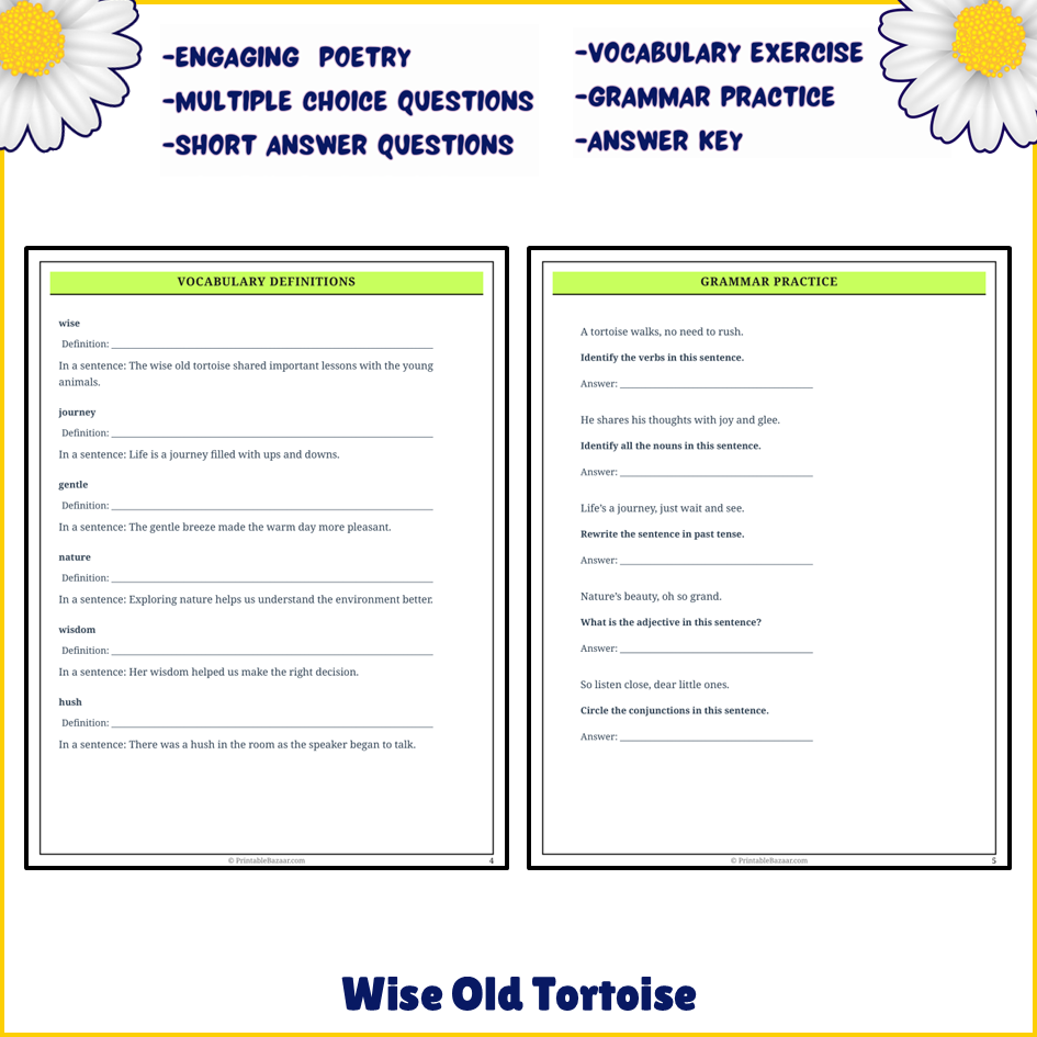 Wise Old Tortoise | Poem Grammar Worksheet Printable Activity