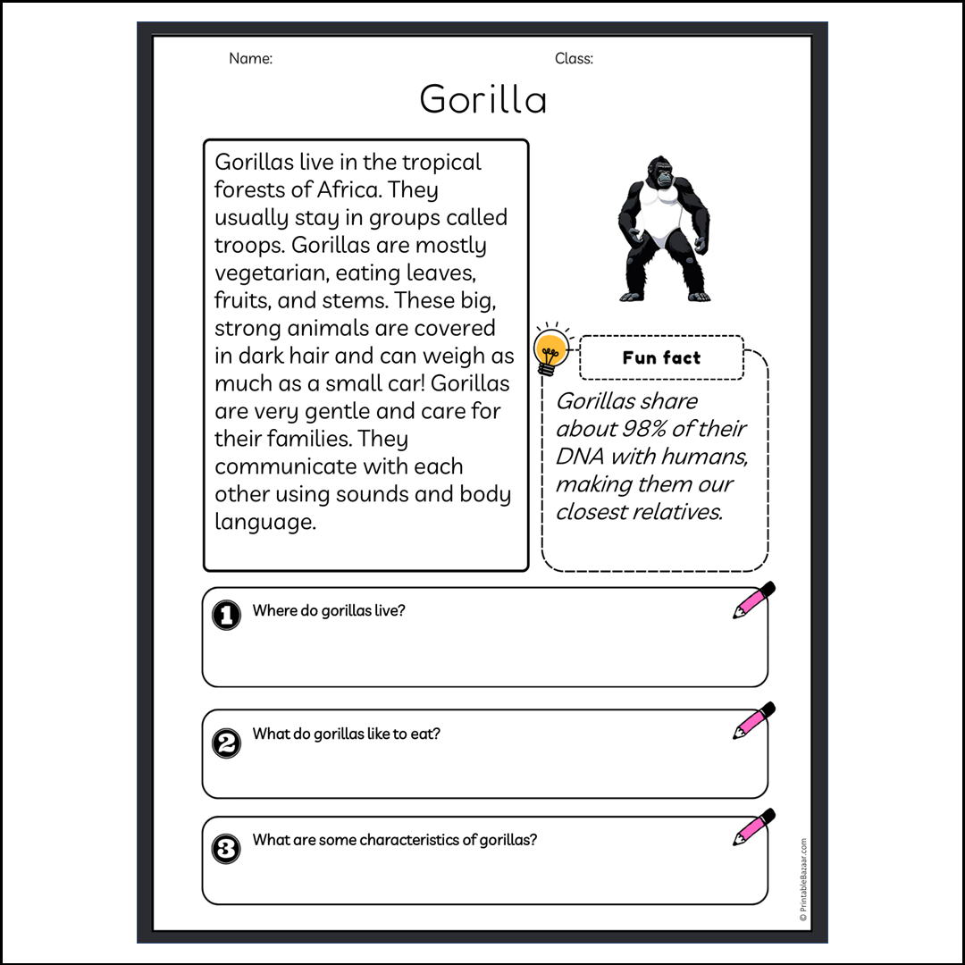 Gorilla | Reading Passage Comprehension Questions Writing Facts Worksheet