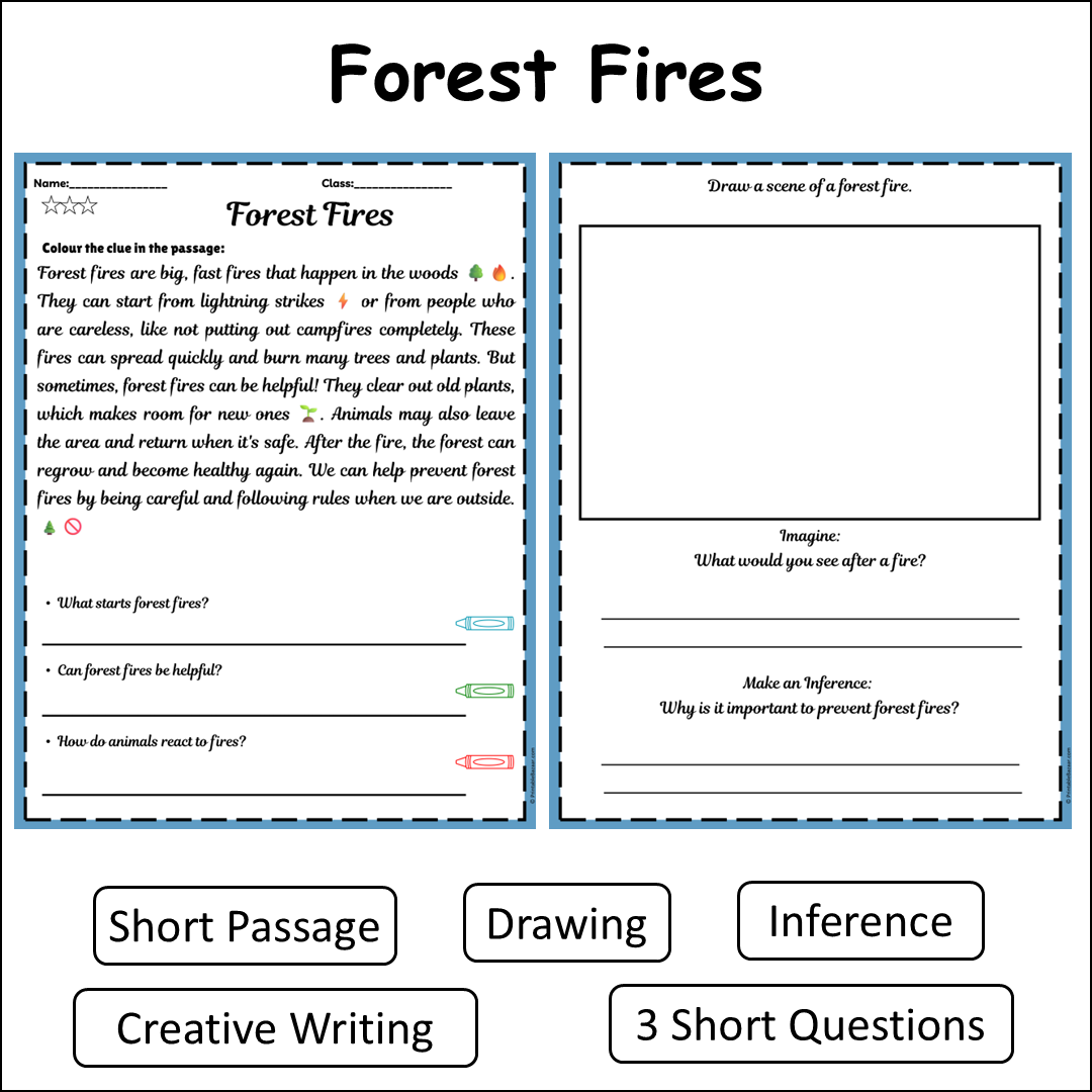 Forest Fires | Short Reading Comprehension Creative Worksheet
