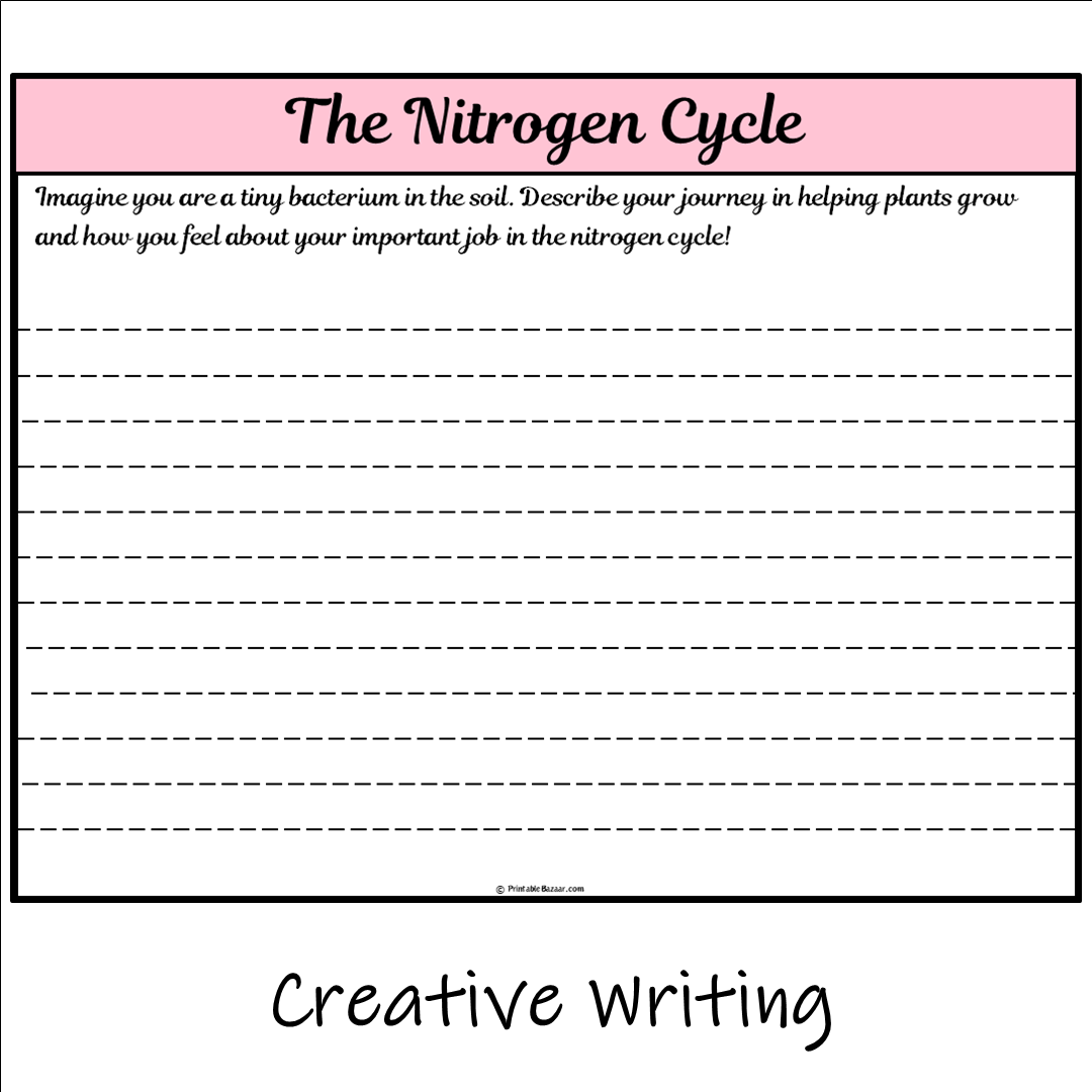 The Nitrogen Cycle | Main Idea and Supporting Details Reading Passage and Questions