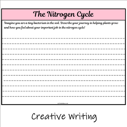 The Nitrogen Cycle | Main Idea and Supporting Details Reading Passage and Questions