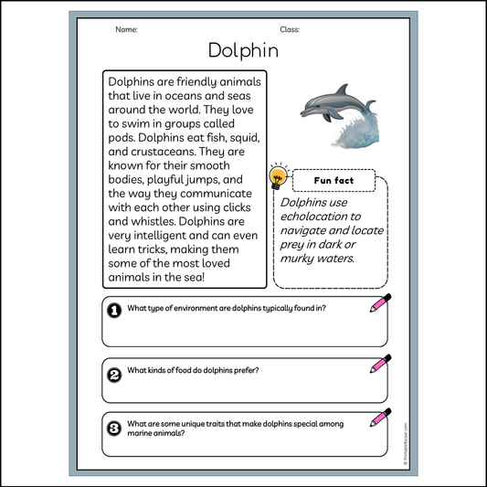 Dolphin | Reading Passage Comprehension Questions Writing Facts Worksheet