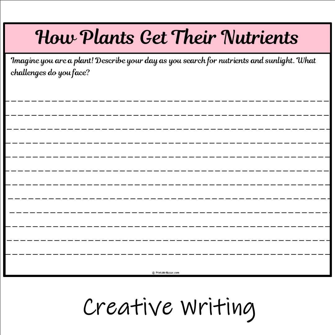 How Plants Get Their Nutrients | Main Idea and Supporting Details Reading Passage and Questions